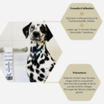 Shampooing poils blancs White Snow chien Biogance – Image 4